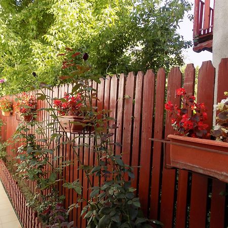 Pension Eden Бэиле-Еркулане Экстерьер фото