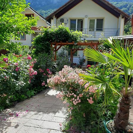 Pension Eden Бэиле-Еркулане Экстерьер фото