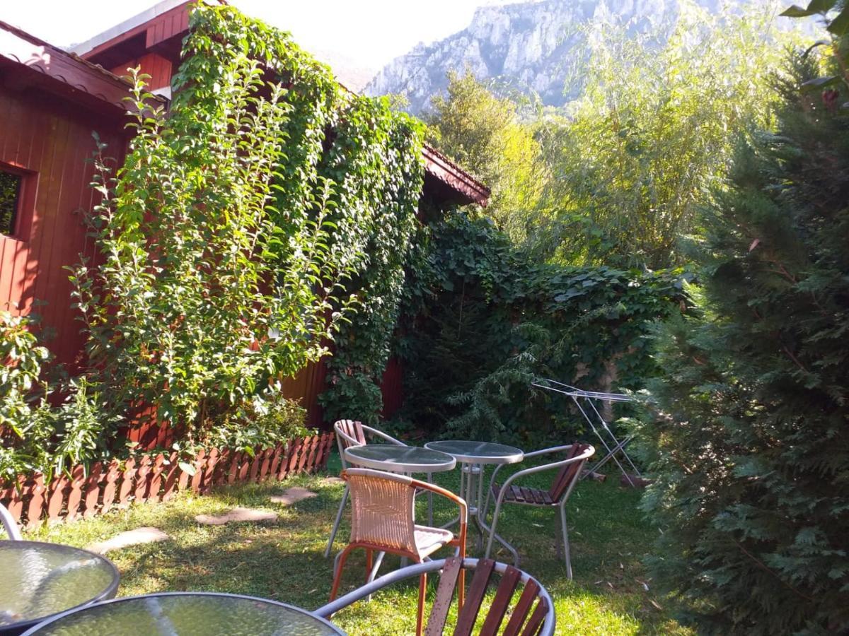 Pension Eden Бэиле-Еркулане Экстерьер фото