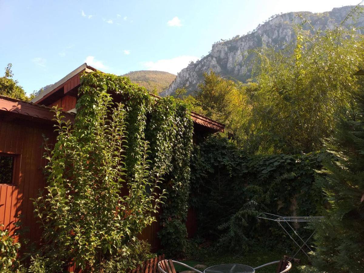 Pension Eden Бэиле-Еркулане Экстерьер фото