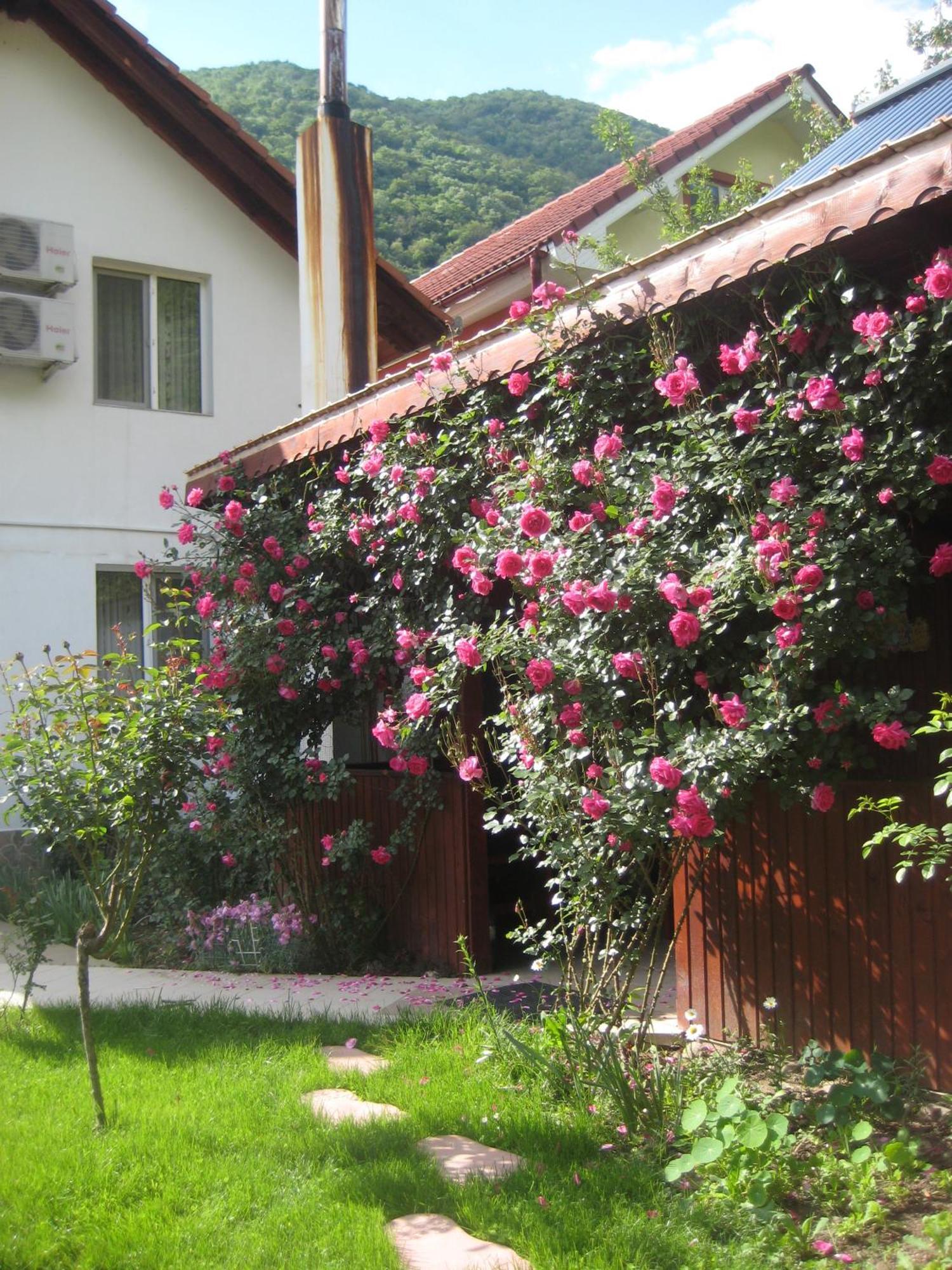 Pension Eden Бэиле-Еркулане Экстерьер фото
