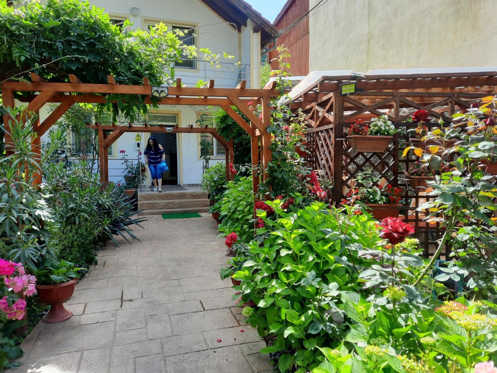 Pension Eden Бэиле-Еркулане Экстерьер фото