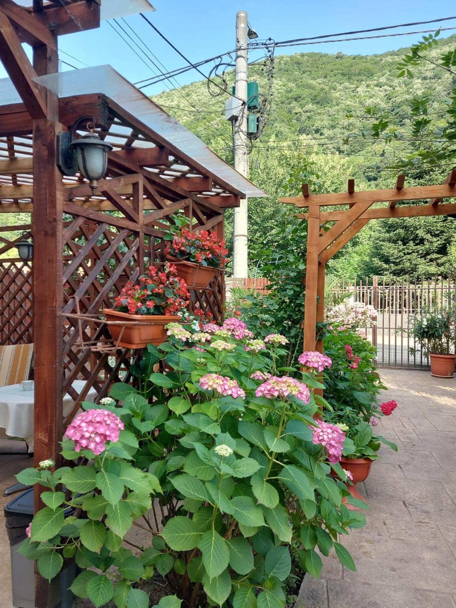 Pension Eden Бэиле-Еркулане Экстерьер фото